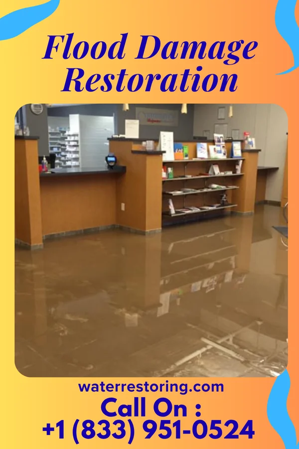 Flood Damage Restoration in Montvale, NJ