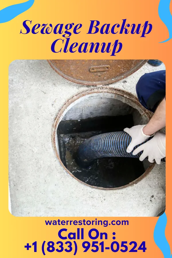 Sewage Backup Cleanup in Montvale, NJ
