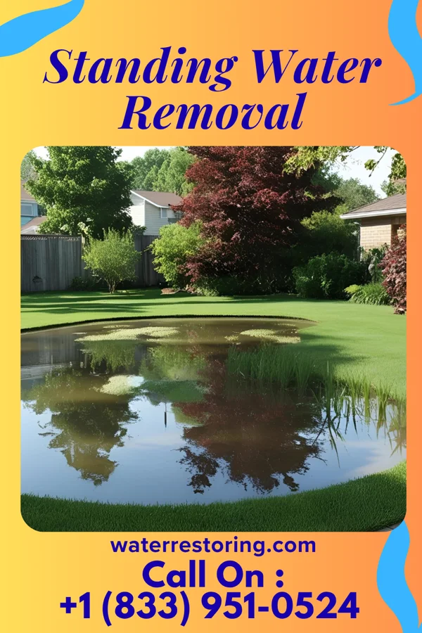 Standing Water Removal in Montvale, NJ